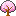 cherryblossom cherryblossom